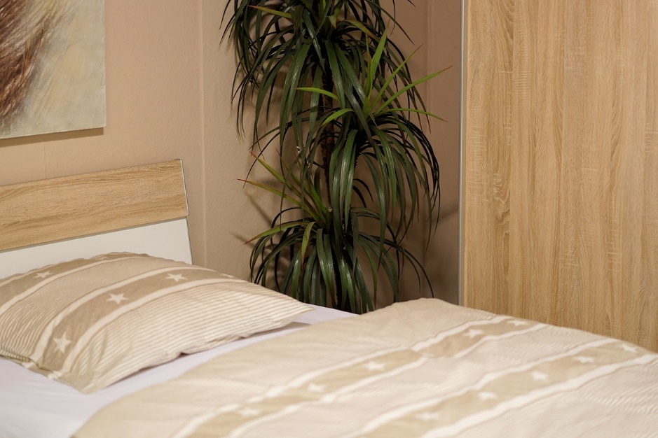 plant to bed